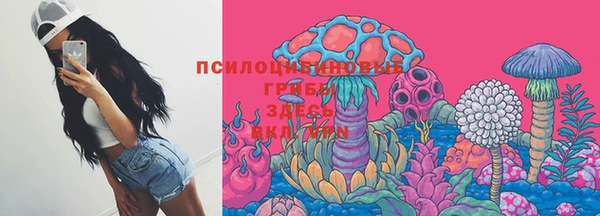 индика Алексин