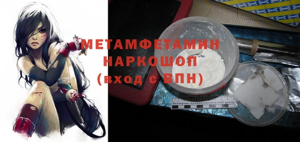 индика Алексин
